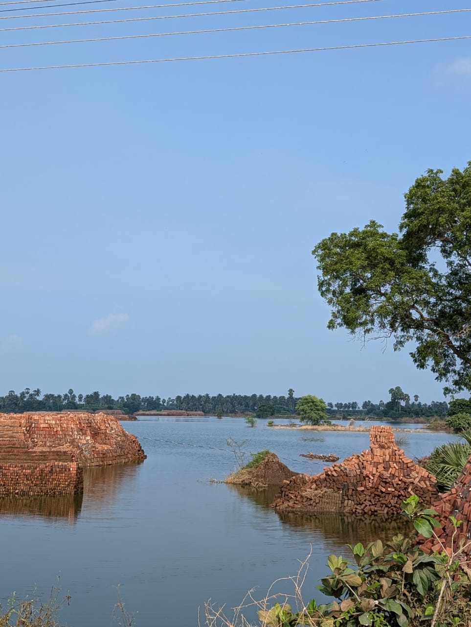 1749038800684036d063288IMG-20241004-WA0023